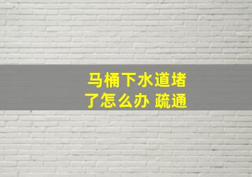 马桶下水道堵了怎么办 疏通